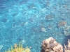 salina3