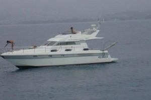 gianetti 38 fly