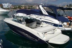 sea ray