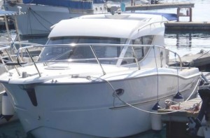 sessa dorado 26